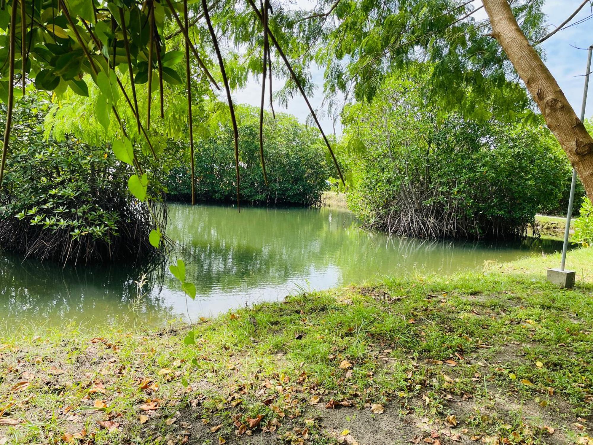 King'S Island Resort Negombo Dış mekan fotoğraf