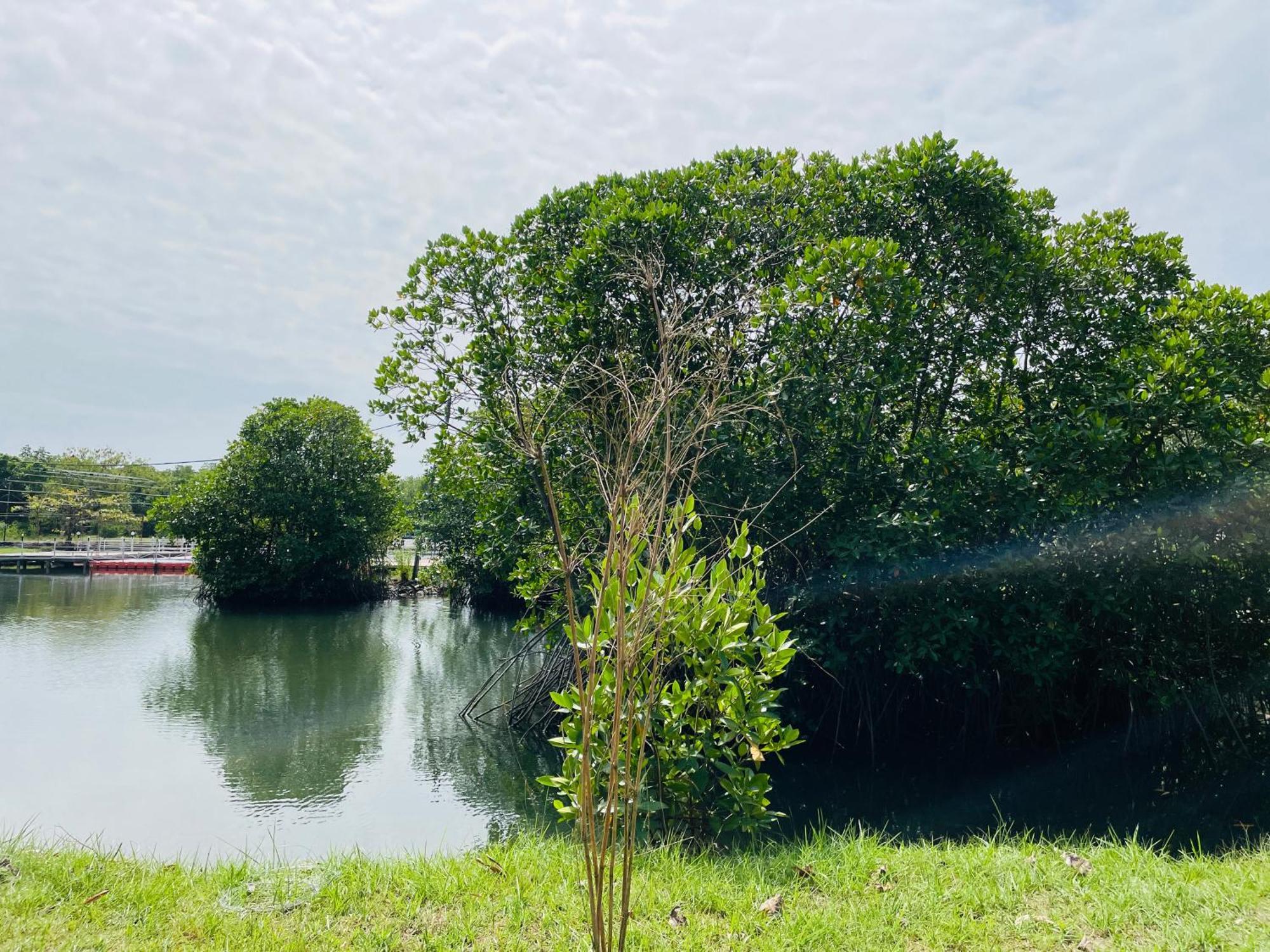 King'S Island Resort Negombo Dış mekan fotoğraf